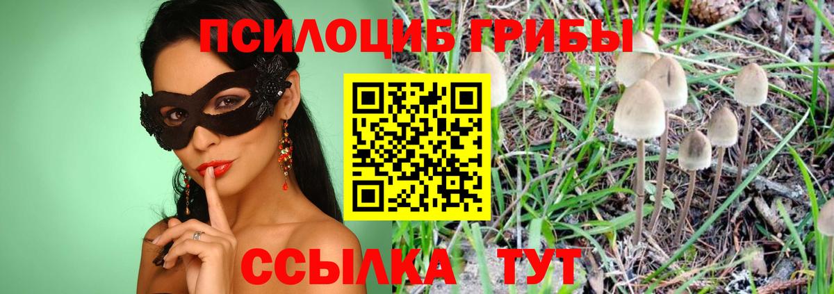 Сочи  Псилоцибиновые грибы Cubensis  Вход с VPN  Псилоцибиновые грибы мухоморы 
